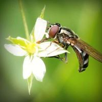 /album/aldaikacip/photolia-a02-jpg/