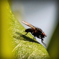 /album/aldaikacip/photolia-a04-jpg/