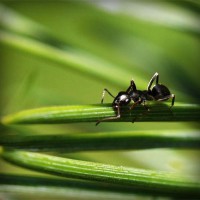 /album/aldaikacip/photolia-a05-jpg/