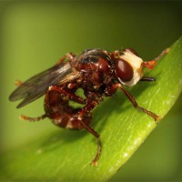 /album/aldaikacip/photolia-a06-jpg/