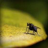 /album/aldaikacip/photolia-a07-jpg/